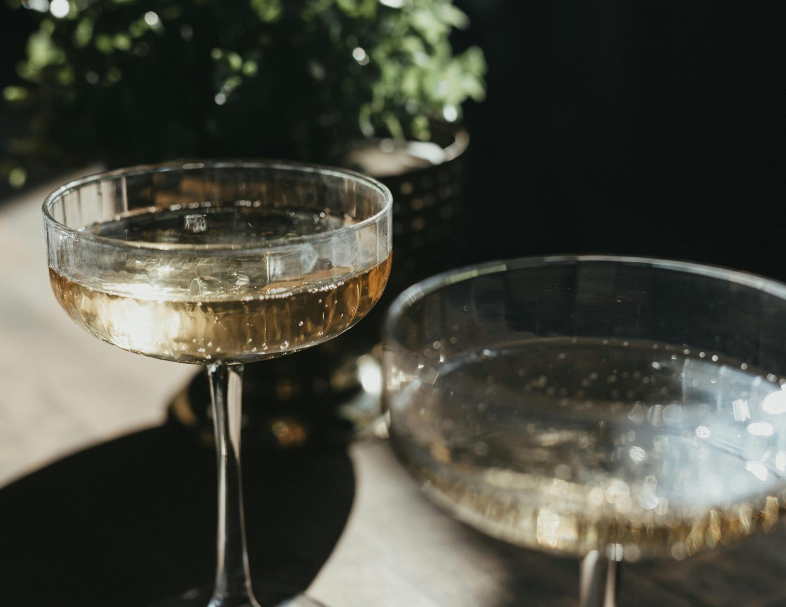 Champagne coupes filled with bubbly in a sunny, elegant indoor setting.